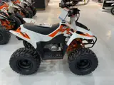 2026 Kayo FOX 70