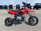 2025 SSR Motorsports SR 110SE — photo 4 of 7