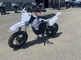 2025 SSR Motorsports SR E500 — photo 2 of 8