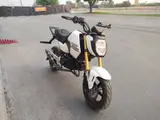 2025 Honda GROM ABS — photo 2 of 8