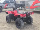 2027 Honda FOREMAN RUBICON 4X4 AUTO EPS — photo 8 of 10