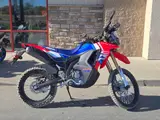 2026 Honda CRF300L RALLY — photo 3 of 6