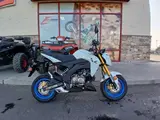2026 Kawasaki Z125 PRO