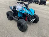 2026 Can-Am RENEGADE 110 EFI — photo 4 of 9