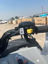 2026 Polaris SPORTSMAN 450 HO EPS — photo 10 of 10