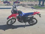 2026 Honda CRF300L RALLY