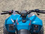 2026 Can-Am RENEGADE 110 EFI — photo 5 of 7