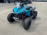 2026 Can-Am RENEGADE 110 EFI — photo 2 of 9