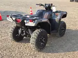 2027 Honda FOREMAN RUBICON 4X4 AUTO EPS — photo 6 of 8