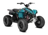 2026 Can-Am RENEGADE 110 EFI — photo 7 of 7